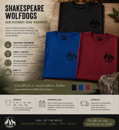 T-Shirt Logo Schwarz Klein