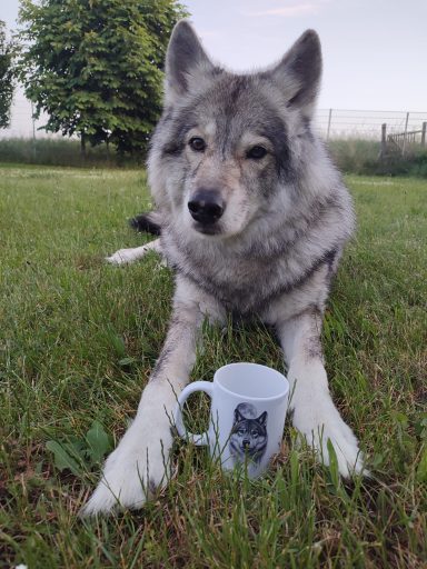 Tasse Romeo